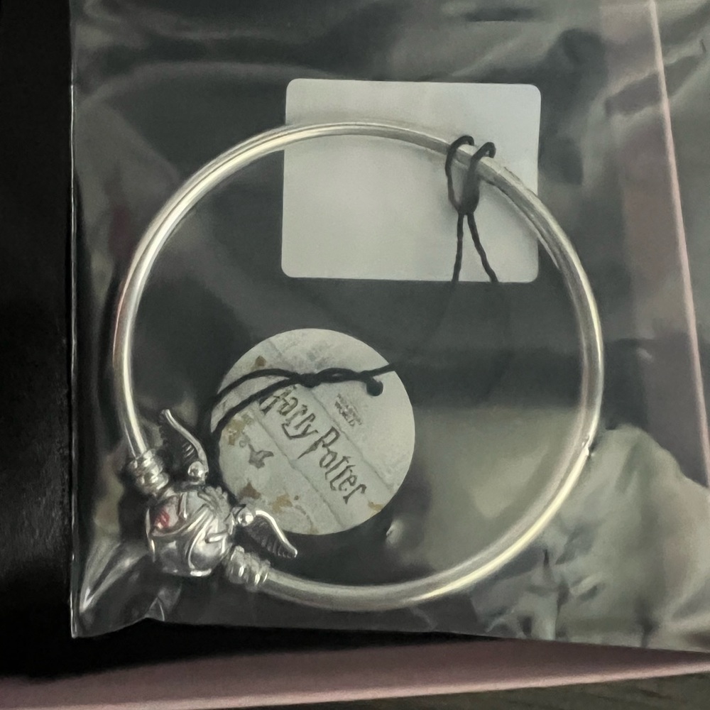 Harry Potter pandora bracelet